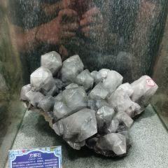 KONG LONG ZHU TI DU JIA JIU DIAN ZHU LUO JI ZHU TI CAN TING 여행 사진