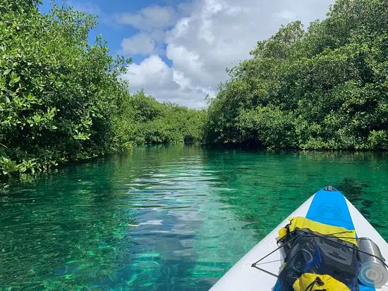 Casa Cenote 灰岩坑