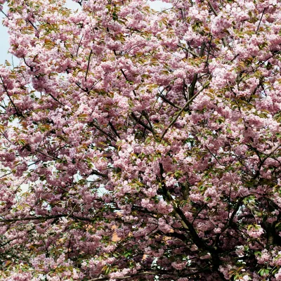 Для бизнес-поездок Отели в г. Нагоя