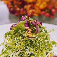 香港龙码头螃蟹王(万象城店) User Photo