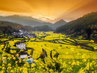 婺源10大最佳酒店排名