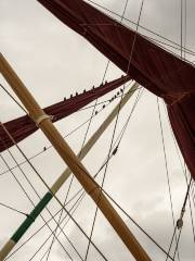 The Tall Ship Glenlee