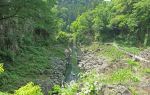 Nanhai Bay Forest Ecological Park