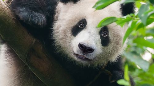 ウッドランド・パーク動物園