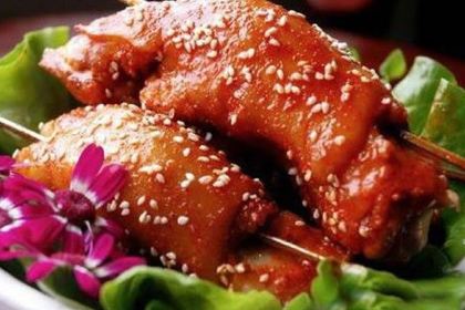 SHAO DONG GU ZHU TI PU ZI ZONG DIAN