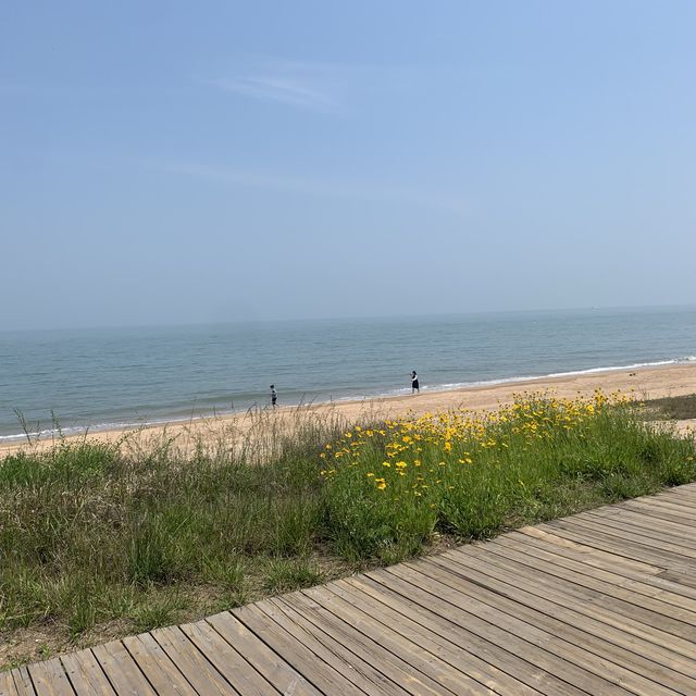 rizhao Beach holiday 