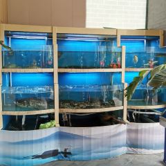 大榮世家飯店(榮巷店)張用戶圖片