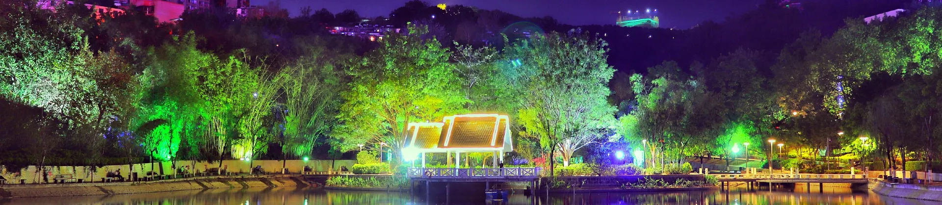 Night Attractions