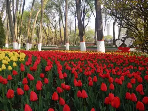 Xining People's Park