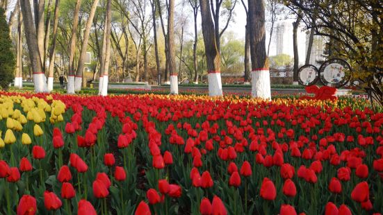 到西寧出差，順便到西寧人民公園一游，該公園是西寧市最大的公共