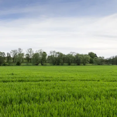 3-звездочные отели в г. Фолькстон