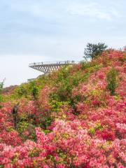 Taoyuan Peak