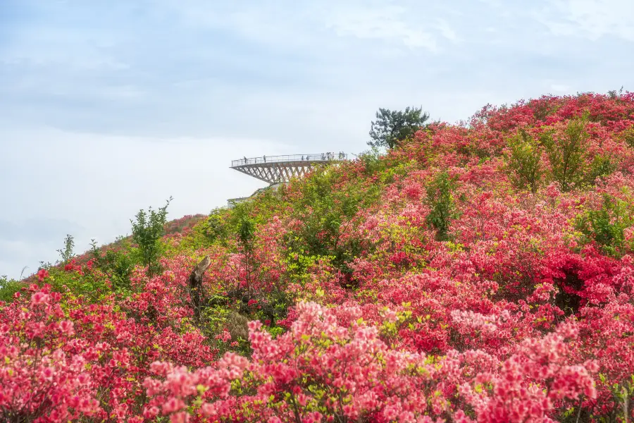 Taoyuan Peak