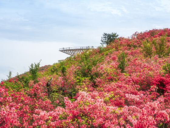 Taoyuan Peak