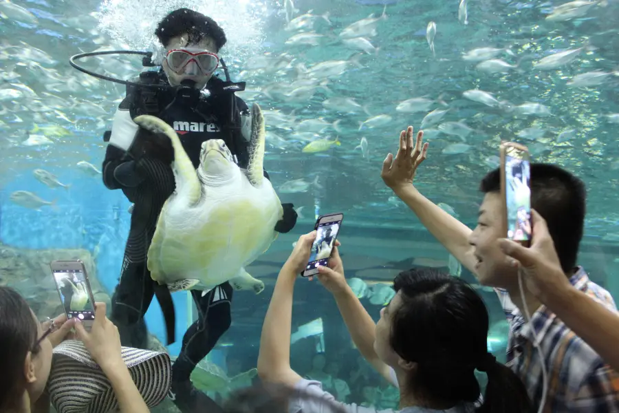 Wuyishan Polar Ocean Park