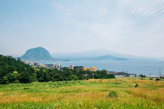 西帰浦市のペット同伴可ホテル