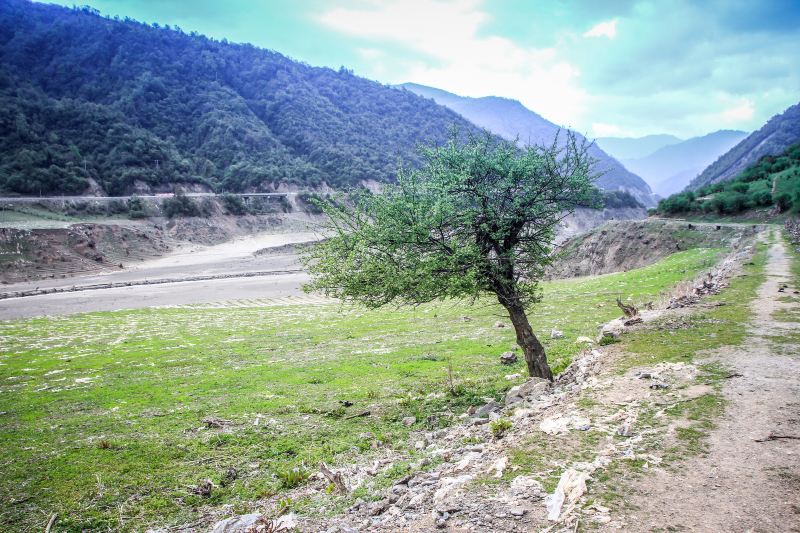 Baima Wanglang National Natural Scenic Area