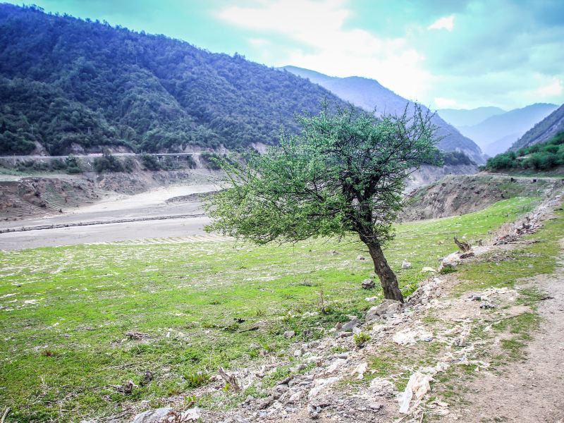 Baima Wanglang National Natural Scenic Area