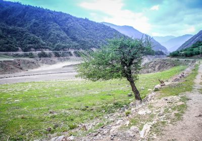 Baima Wanglang National Natural Scenic Area