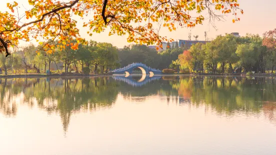 菱湖風景區