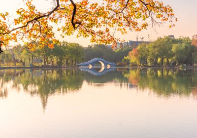 Linghu Scenic Area