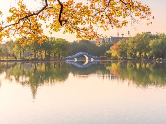 菱湖公園