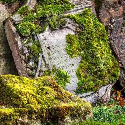 Разрешено размещения с домашними животными Отели в г. Уорвик