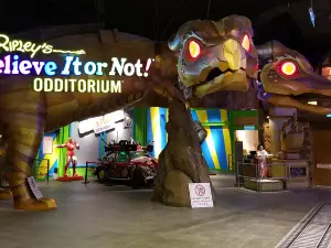 Ripley's Adventure Pass (5 Attractions)