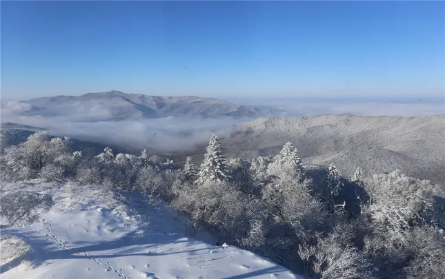 5_야부리 양광 휴양촌 스키장