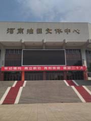 Henan Youtian Wenti Center
