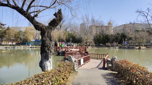 Xinpu Park