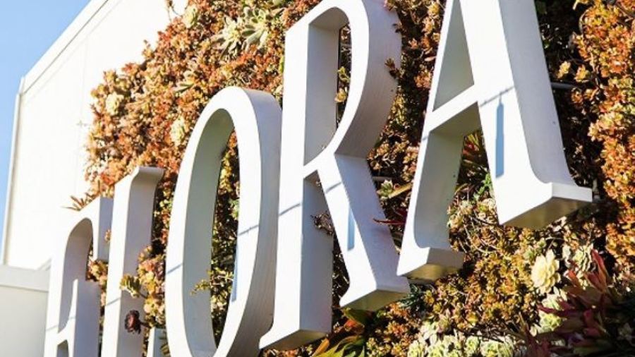 Flora Roof Top Lounge