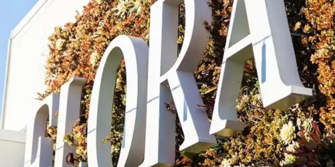 Flora Roof Top Lounge