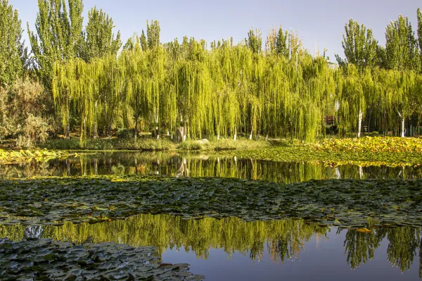 Pobeda Flights to Yinchuan