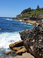 Bondi to Bronte Coastal Walk