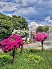 Taras Shevchenko Square