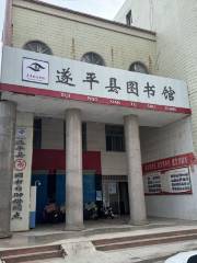 Henan Suiping Library