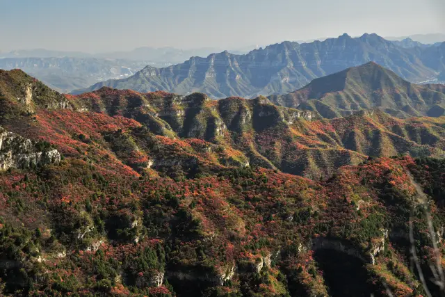 Shijiazhuang Fall Leaves Viewing