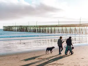 Cayucos State Beach