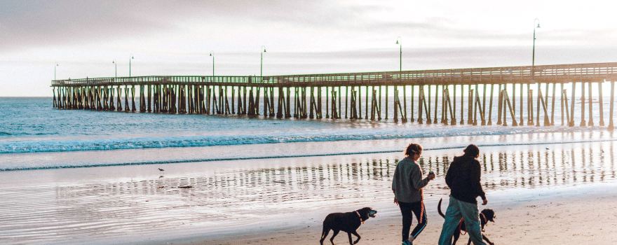 Cayucos State Beach