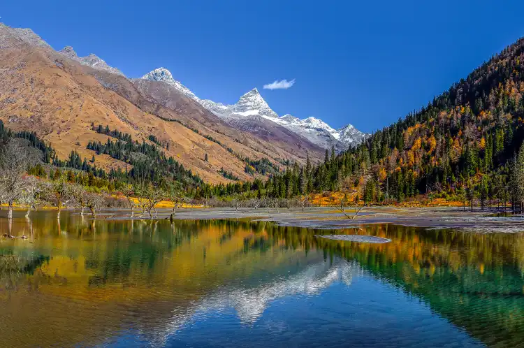 Hotels near Shuangqiao Valley