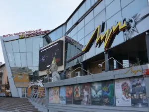 Кинокомплекс Луч
