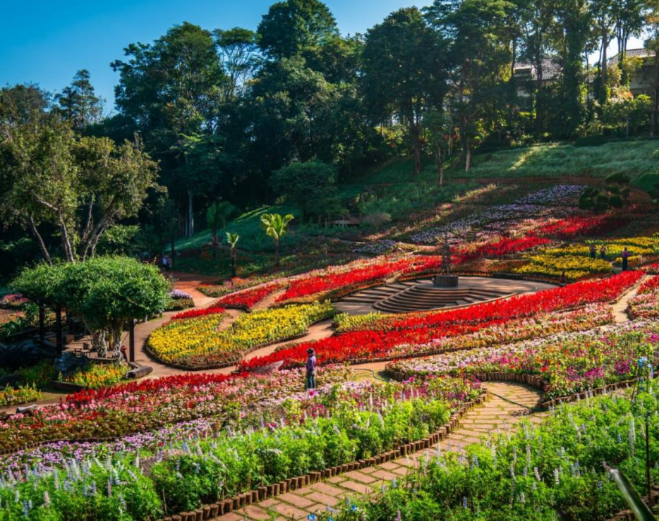 Colours of Doi Tung Festival | Chiang Rai