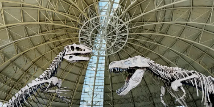 諸城恐龍博物館