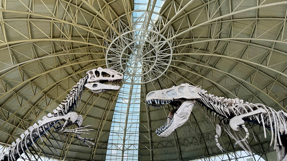 Zhucheng Dinosaur Museum