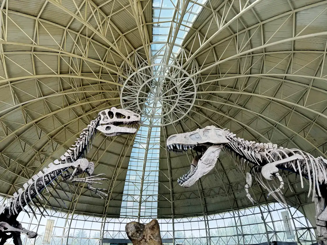 Hotels near Zhucheng Dinosaur Museum