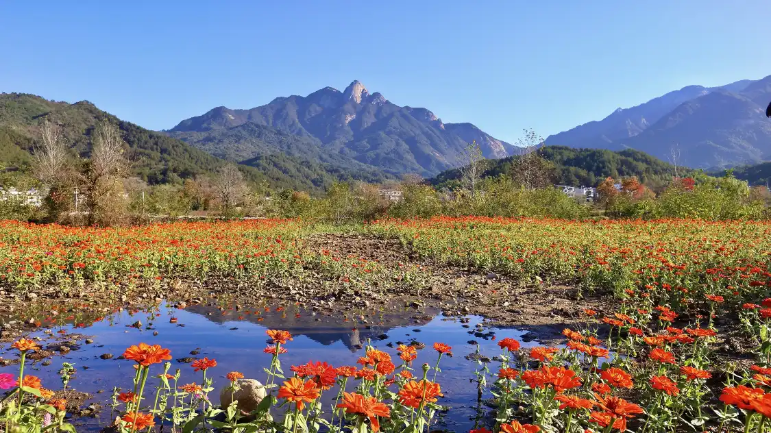 Hotels near Dabie Mountains