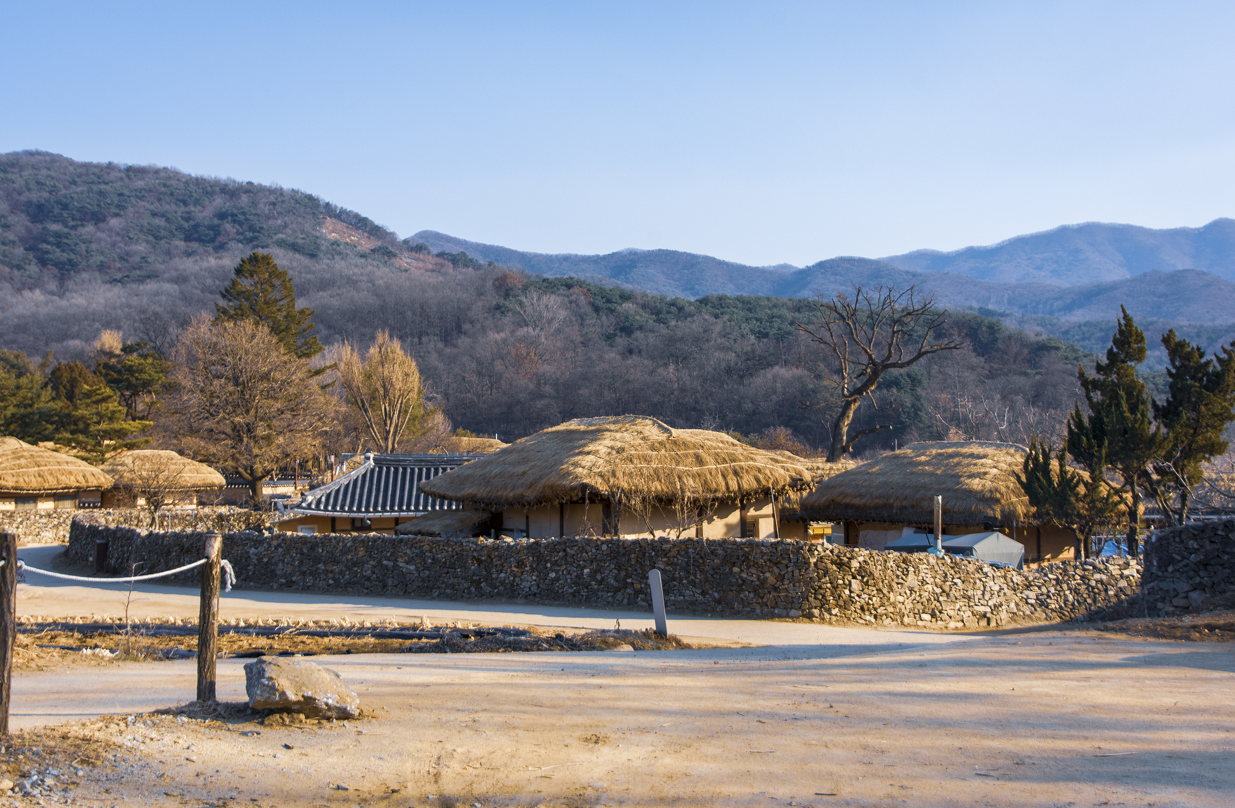용인의 인기 가을 경치