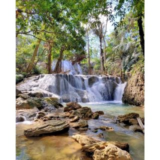 Oenesu Waterfall is located in West Kupang district of Kupang regency which is part of East Nusa Tenggara province has a stunning natural beauty waterfall. These attractions are at a height of approximately 10 meters and consists of 4 levels. You will clearly see Oenesu Waterfall that glides on every levels. On the sidelines of the waterfall there are puddles of water that is naturally shaped pools.

The water that flows in this Oenesu Waterfall has a lot of lime content. When the rainy season arrives, the volume of water in Oenesu Waterfall relatively abundant, although once the water in the area of this waterfall is very clear. Different when summer arrives, the water volume will be slightly receded, although not until dry. At this time the water that flows in the waterfall area becomes visible more clearly than when the rainy season arrives. Visiting Oenesu waterfalls not too difficult, this exotic tourist spot located approximately 17 kilometers west of downtown Kupang.
#summervacation#hikingtrails#urbanexplorer