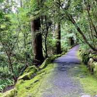 箱根神社の脇参道